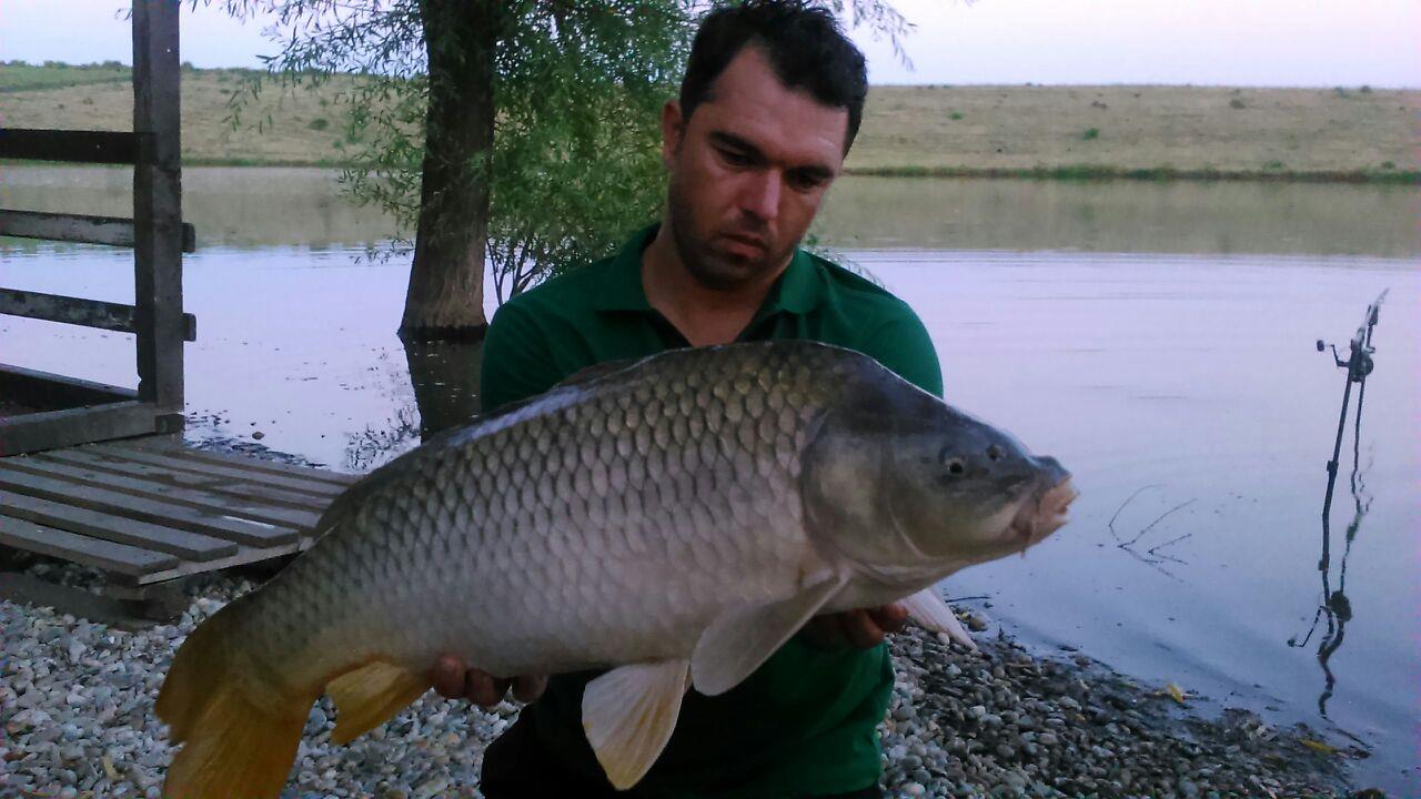 Greaca Cercani 17 - 18 iulie 2015